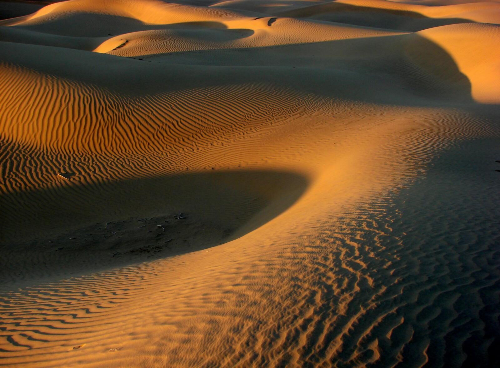 Sunset over the dunes of the Thar Desert, Rajasthan
